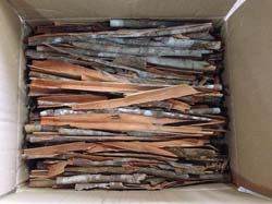 SPLIT CASSIA